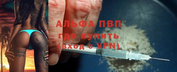 индика Баксан