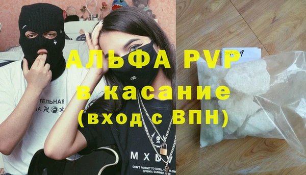 индика Баксан