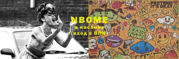 индика Баксан
